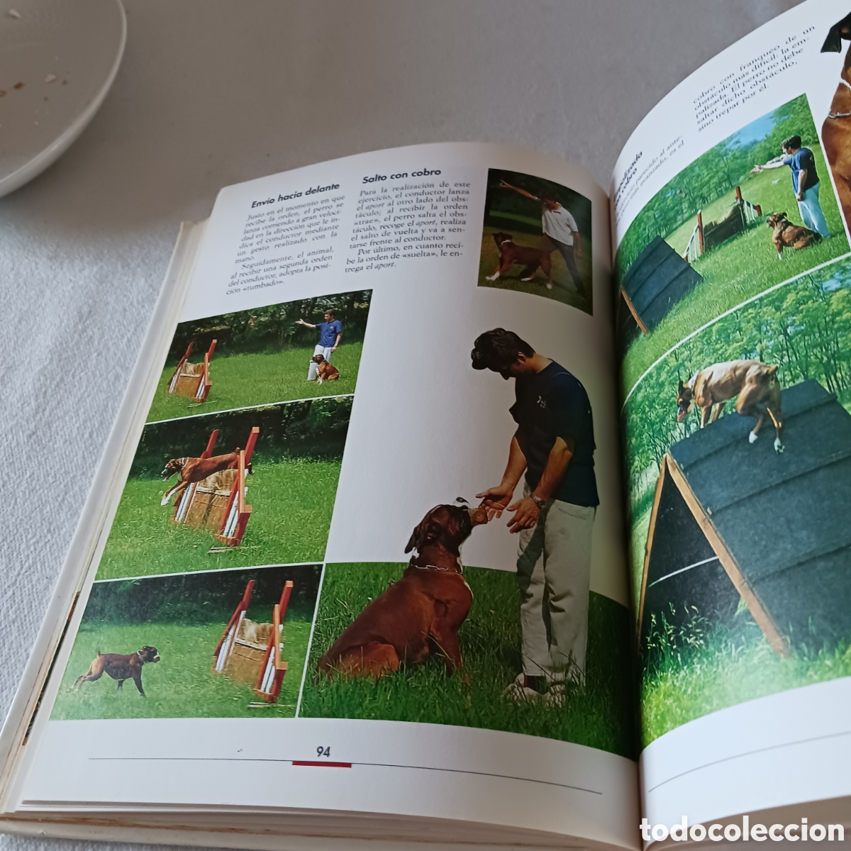 Libros de segunda mano: El B&oacute;xer de V.Rossi (la raza) - Foto 10