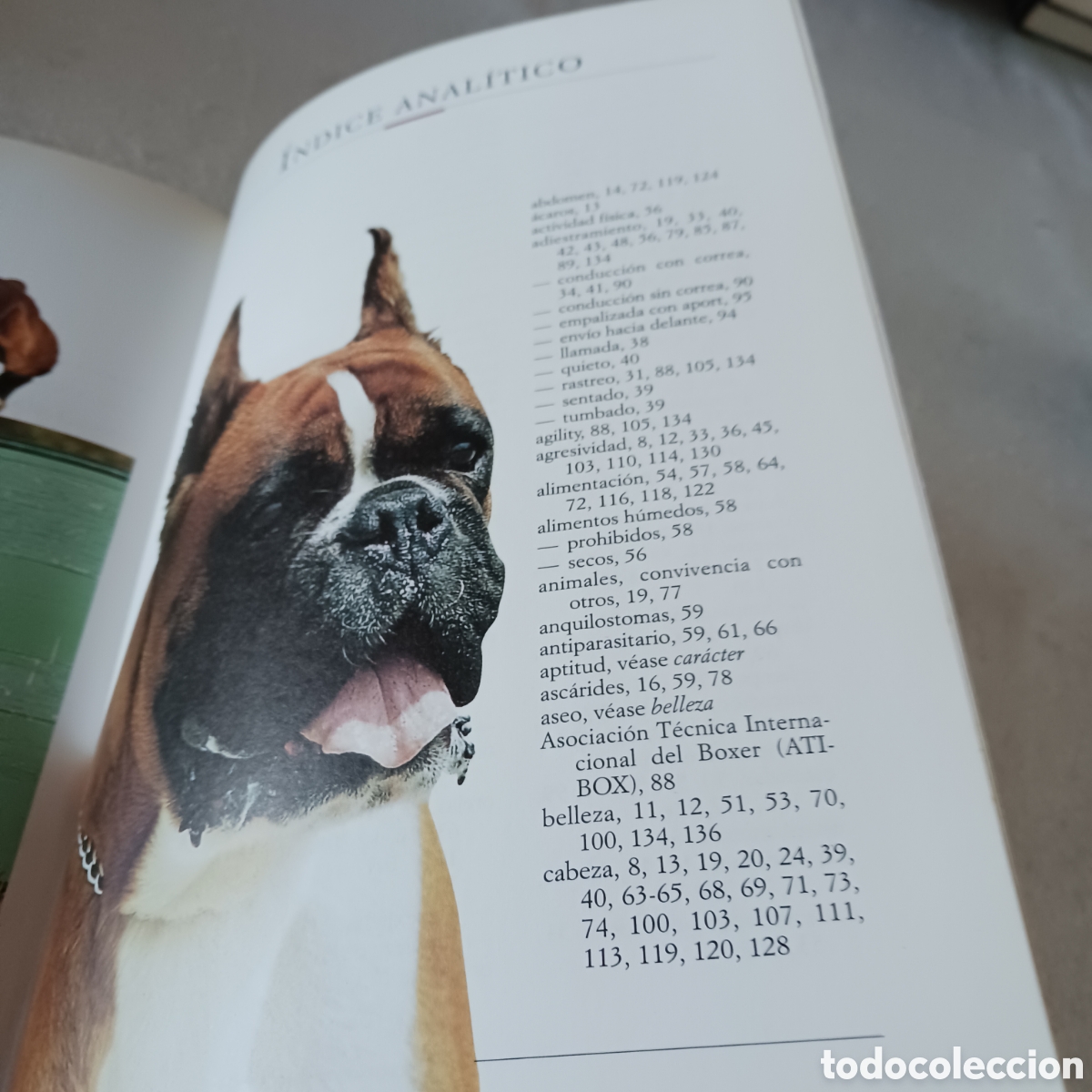 Libros de segunda mano: El B&oacute;xer de V.Rossi (la raza) - Foto 13