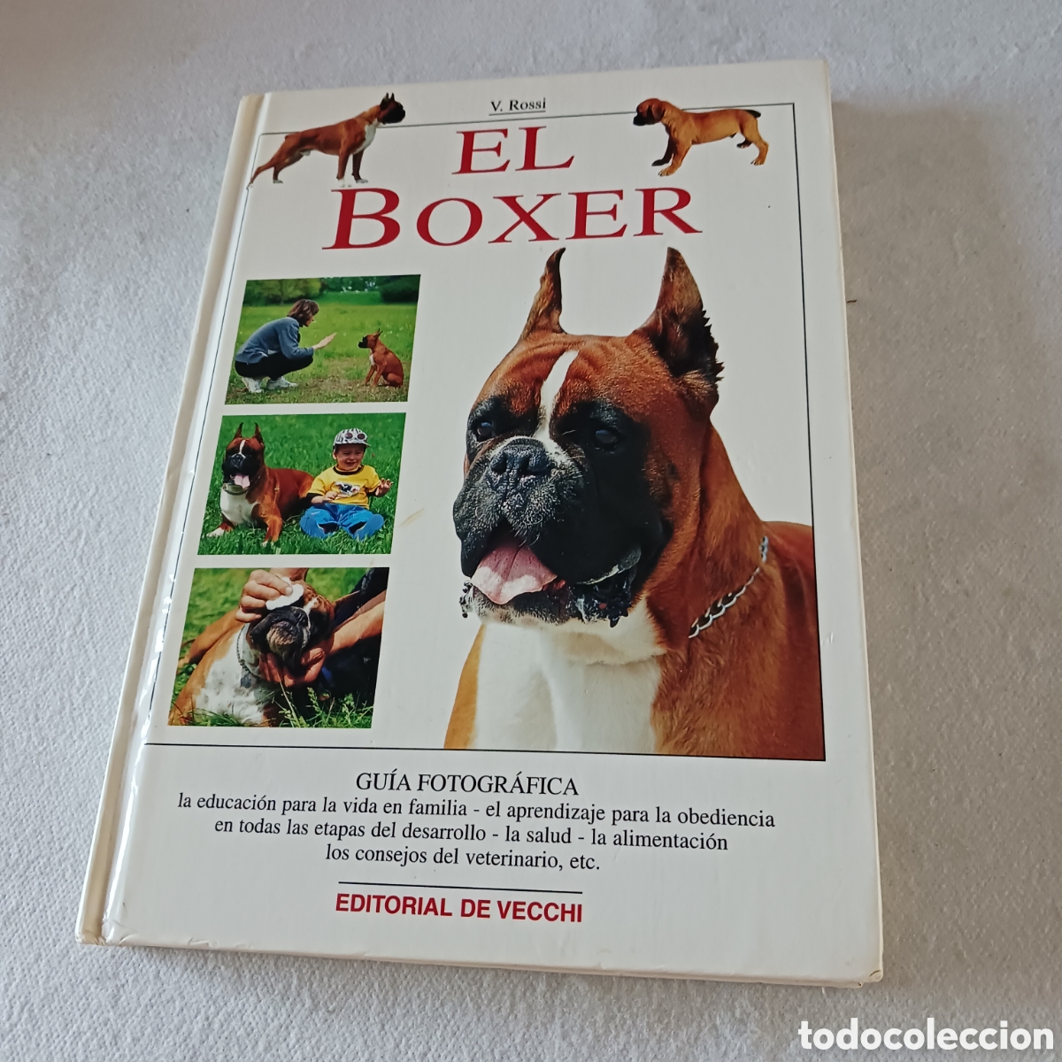 Libros de segunda mano: El B&oacute;xer de V.Rossi (la raza)