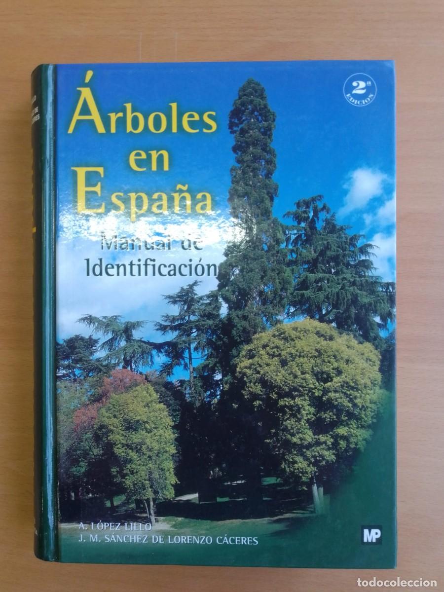 Libros de segunda mano: &Aacute;rboles en Espa&ntilde;a. Manual de identificaci&oacute;n, de A. L&oacute;pez Lillo y J. M. S&aacute;nchez de Lorenzo C&aacute;ceres