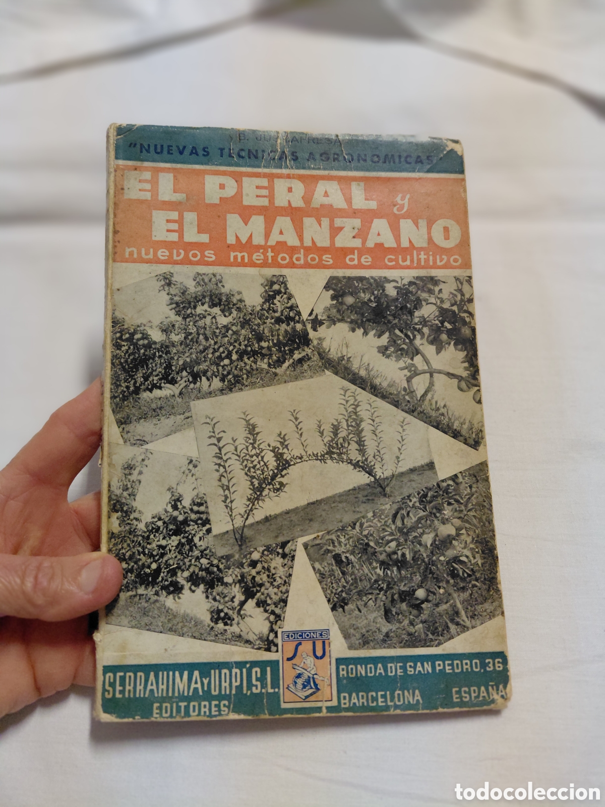 Libros de segunda mano: EL PERAL Y EL MANZANO NUEVOS METODOS DE CULTIVO.BAUDILIO JUSCAFRESCA.SERRAHIMA Y URPI.BARCELONA 1963