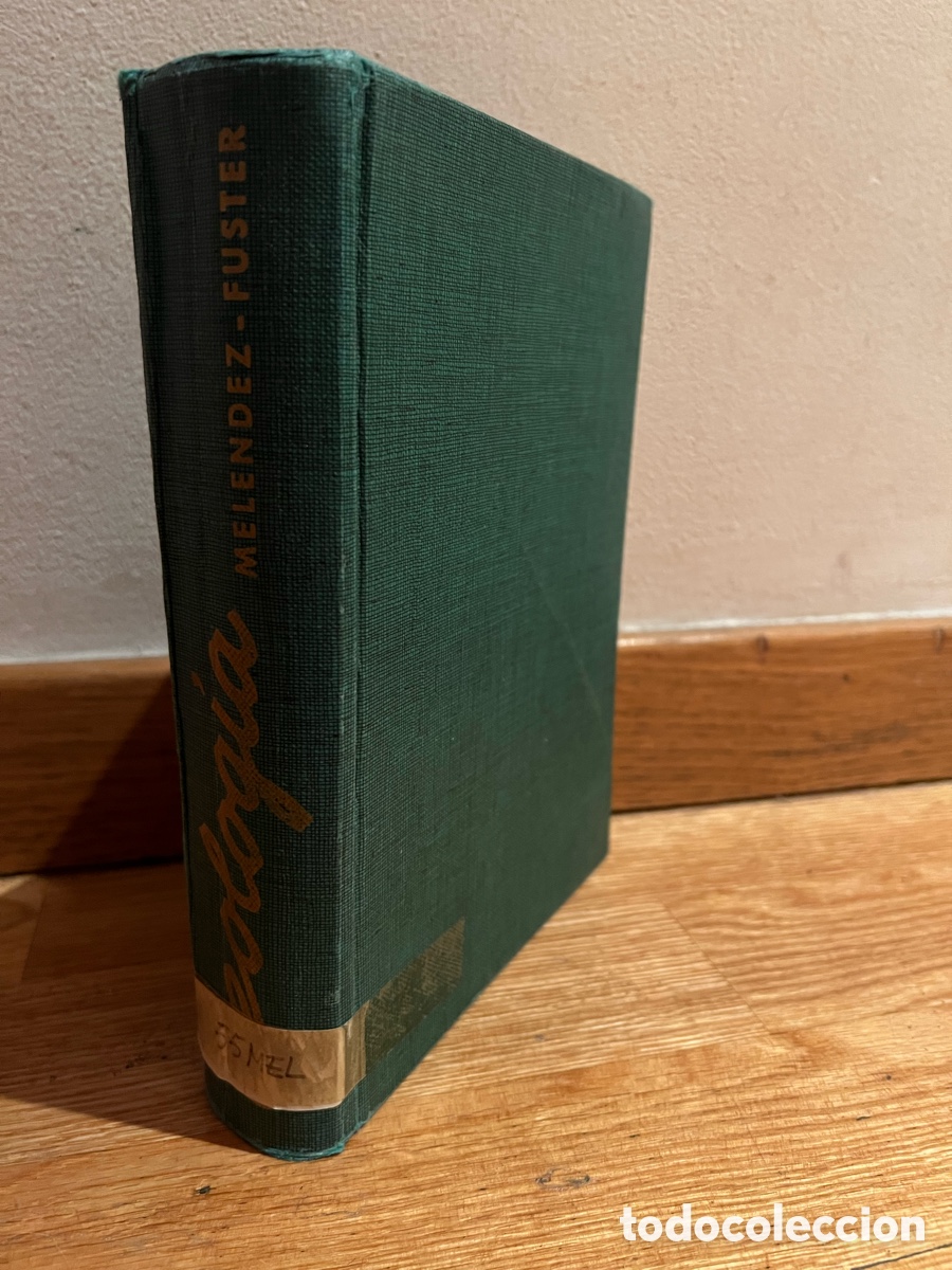 Libros de segunda mano: Geolog&iacute;a Mel&eacute;ndez - Fuster - Foto 1
