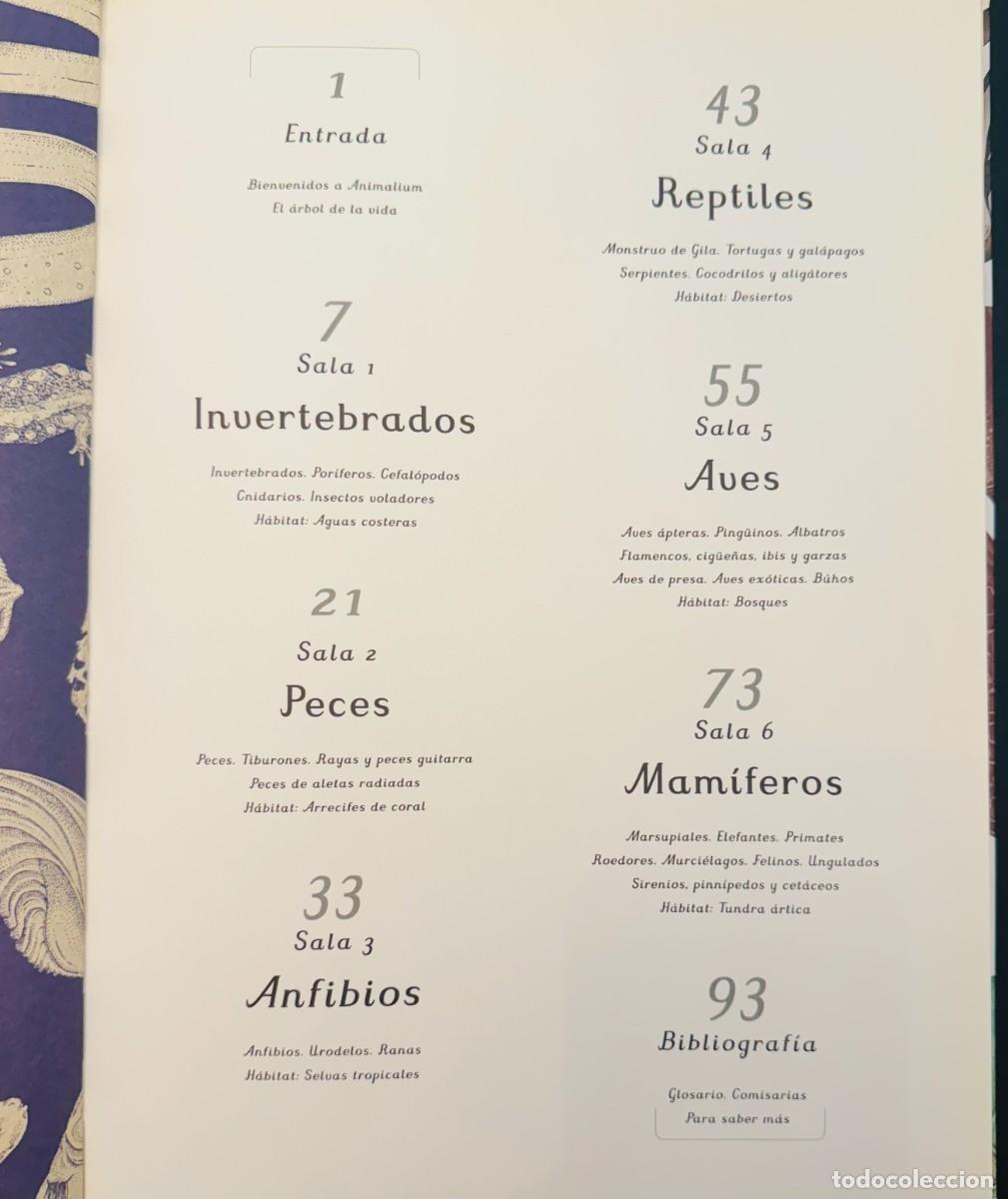 Libros de segunda mano: ANIMALIUM - BROOM, JENNY Y SCOTT, KATIE. CIRCULO DE LECTORES - Foto 3