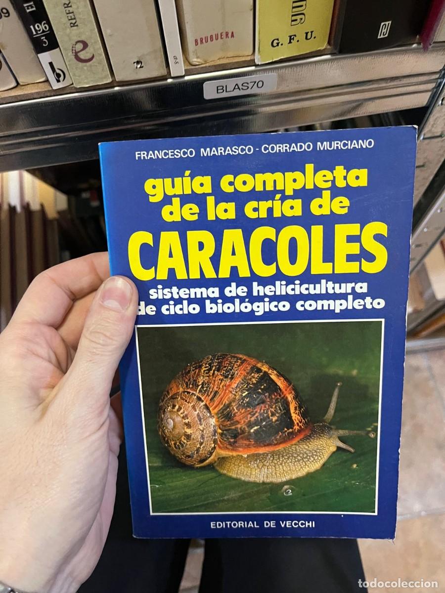 Libros de segunda mano: BLAS70 + Manual del hincha. Gu&iacute;a pr&aacute;ctica para ser un perfecto fan&aacute;tico &mdash; Hugo Morado &mdash; Libsa &mdash;