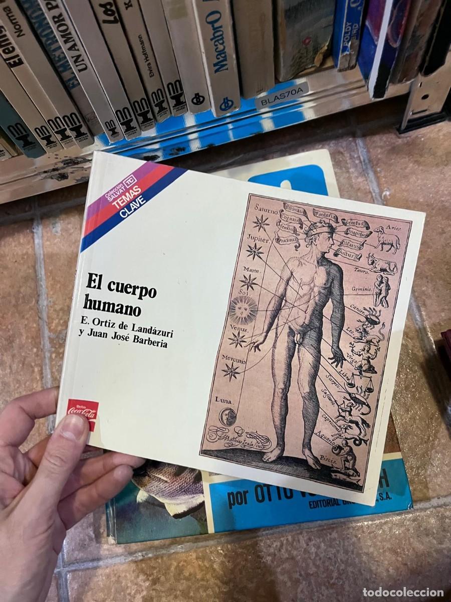 Libros de segunda mano: BLAS70A &mdash; El cuerpo humano &mdash; E. Ortiz de Land&aacute;zuri / Juan Jos&eacute; Barber&iacute;a &mdash; Salvat Temas Clave &mdash;
