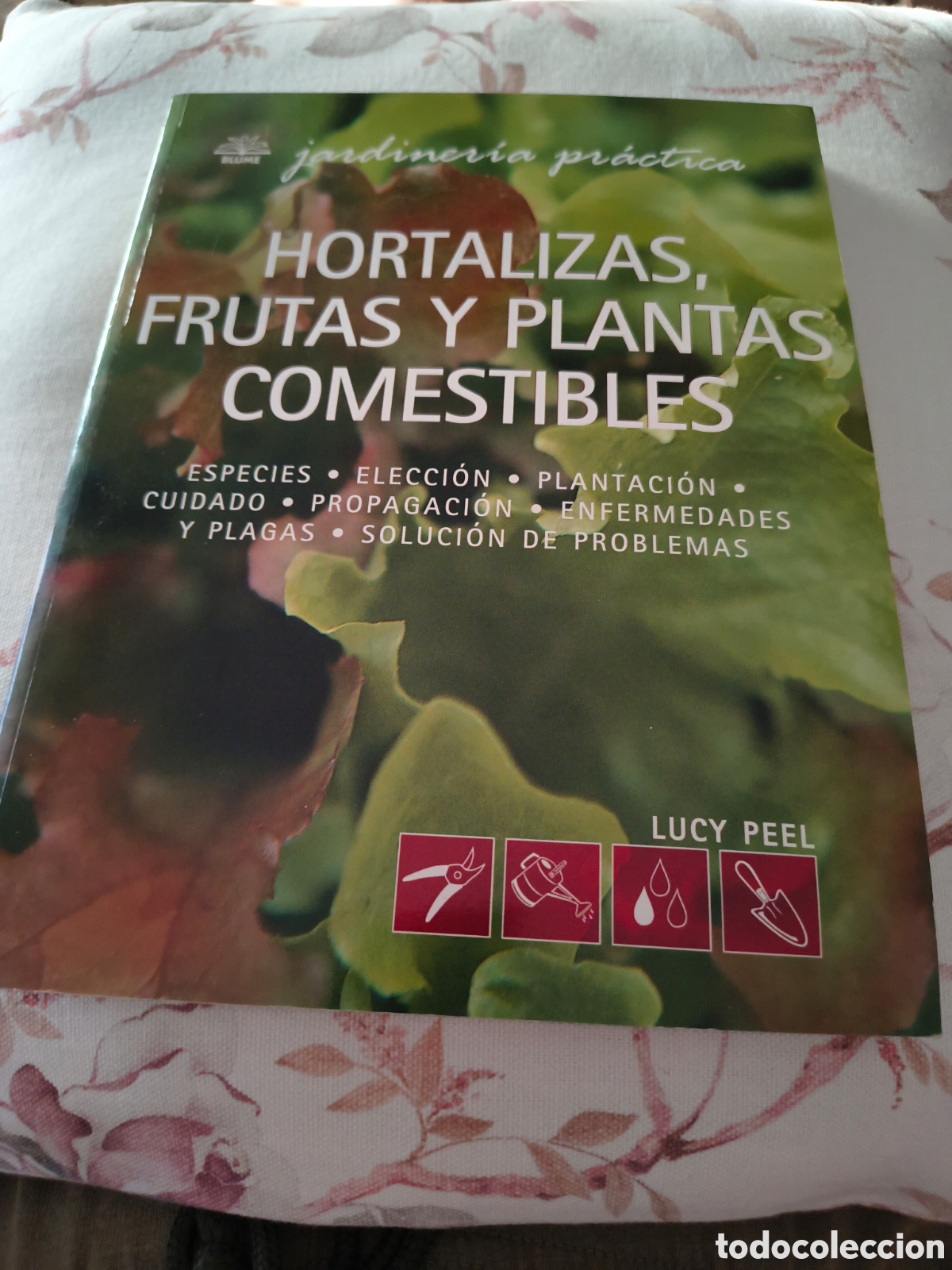 Libros de segunda mano: HORTALIZAS, FRUTAS Y PLANTAS COMESTIBLES DE LUCY PEEL (BLUME)