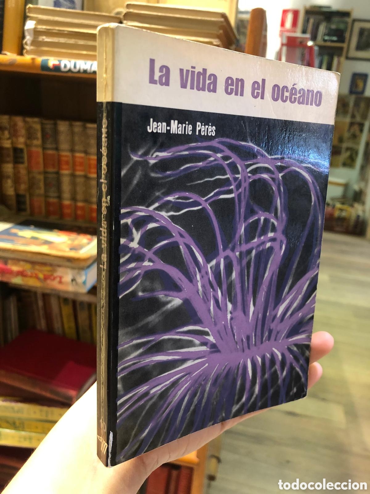 Livres d'occasion: La vida en el oc&eacute;ano - Jean-Marie P&eacute;r&egrave;s