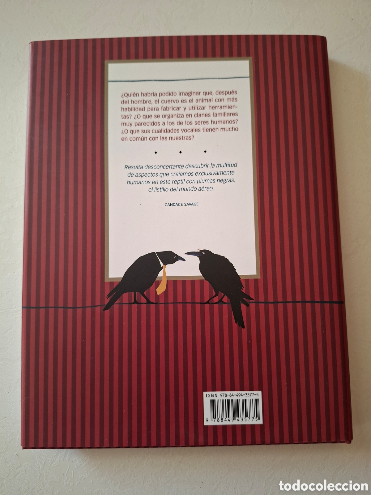 Libros de segunda mano: Cuervos / Candace Savage / Editorial Oc&eacute;ano en China 2007 - Foto 2