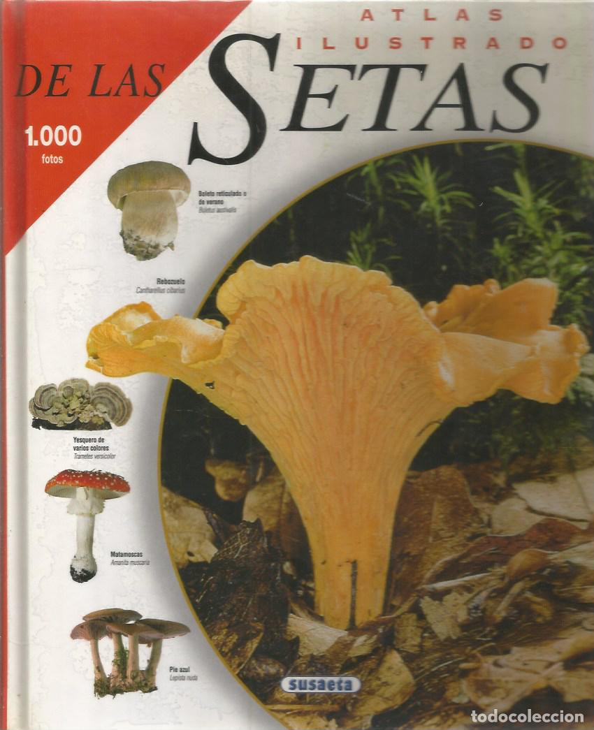 Libros de segunda mano: ATLAS ILUSTRADO DE LAS SETAS - JEAN -LOUIS LAMAISON,JEAN-MARIE POLESE-SUSAETA - 1.000 FOTOS