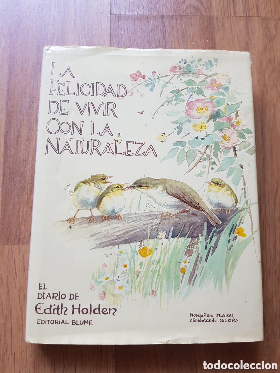 Libros de segunda mano: La felicidad de vivir con la naturaleza. Edith holden