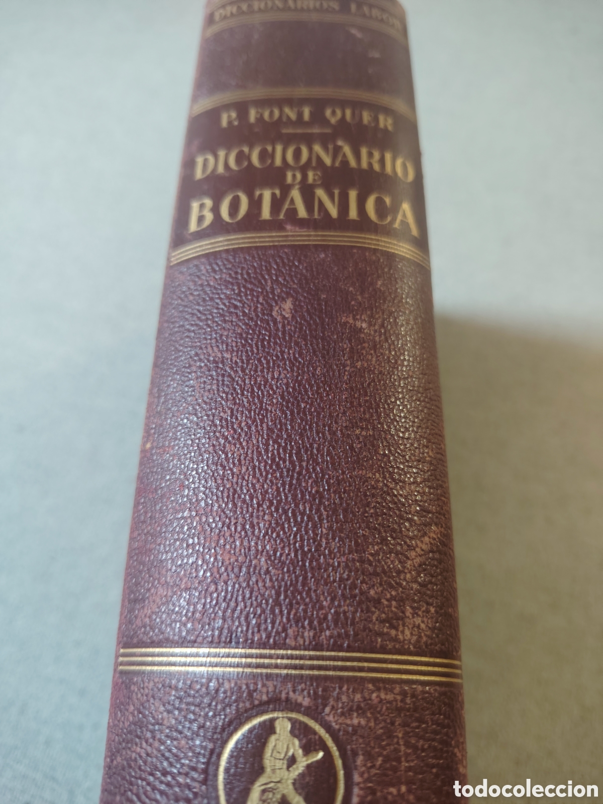 Libros de segunda mano: Diccionario bot&aacute;nico Labor 1953. Font Quer