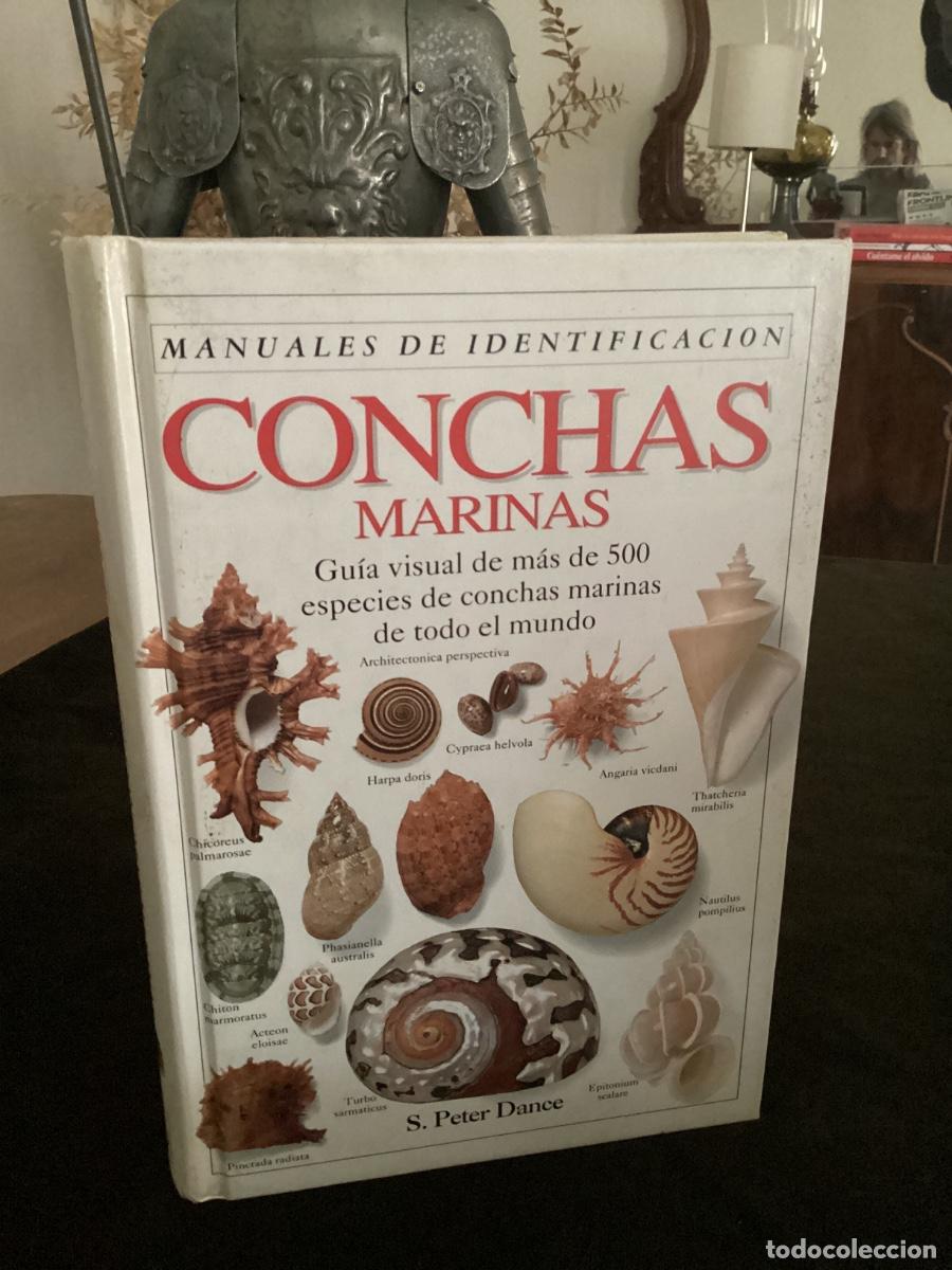 Libros de segunda mano: CONCHAS MARINAS. MANUALES DE IDENTIFICACI&Oacute;N; DANCE PETER S. 1993