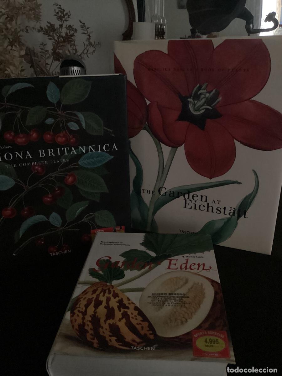 Libros de segunda mano: LOTE 3 TITULOS LIBROS L&Aacute;MINAS DE BOT&Aacute;NICA EN TASCHEN. GARDEN. POMONA.