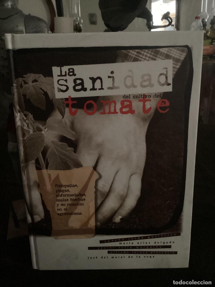 Libros de segunda mano: LA SANIDAD DEL CULTIVO DEL TOMATE.