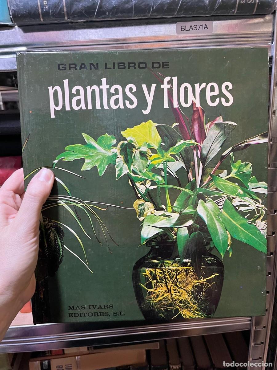 Libros de segunda mano: BLAS71A &ndash; Gran libro de plantas y flores &ndash; Mas Ivars Editores &ndash;