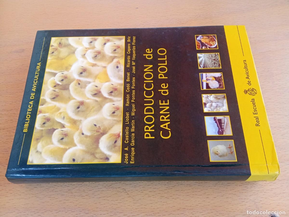 Libros de segunda mano: PRODUCCION DE CARNE DE POLLO / REAL ESCUELA AVICULTURA / KARA34 / AGRARIO