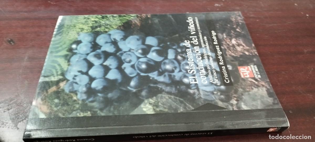 Libros de segunda mano: EL SISTEMA DE CONDUCCION DEL VI&Ntilde;EDO / RODRIGUEZ / KARA35 / UNIVERSIDAD RIOJA / AGRARIO
