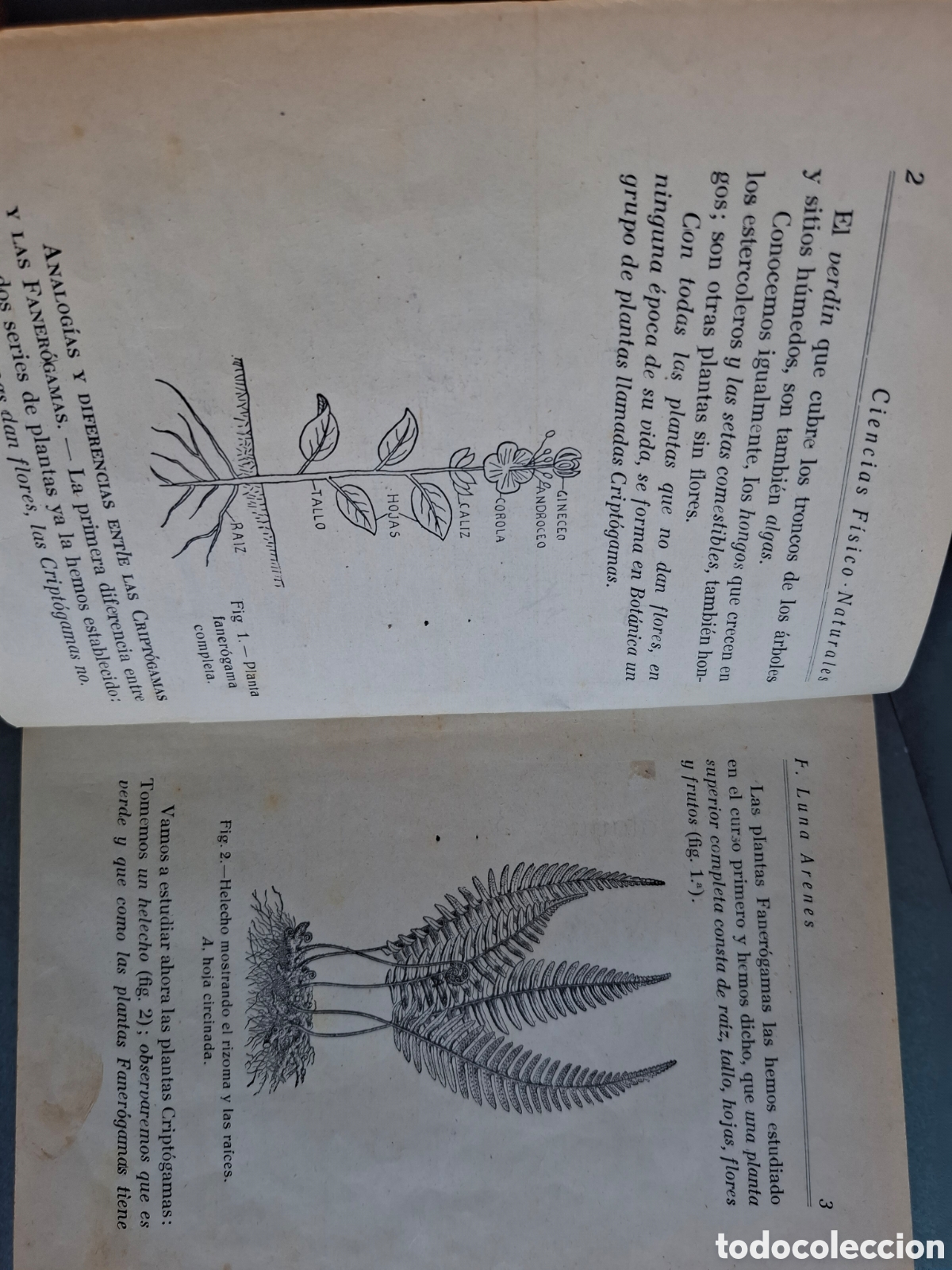 Libros de segunda mano de Ciencias: Ciencias fisio naturales - F.Luna Arenes - 1939?