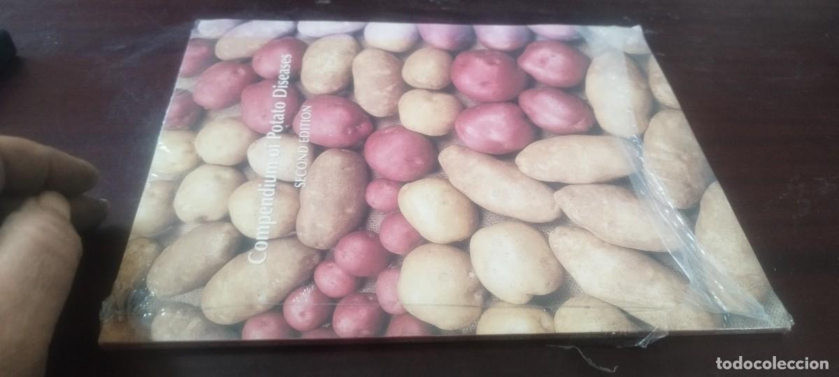 Libros de segunda mano: COMPENDIUM OF POTATO DISEASE/NUEVO PRECINTAD/AGRARIO ingles enfermedades patata