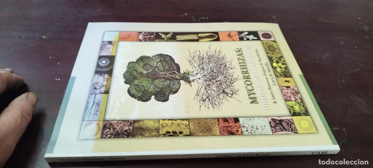 Libros de segunda mano: MYCORRHIZAS ANATOMY AND CELL BIOLOGY/AGRARIO/INGLES Micorrizas: Anatom&iacute;a y Biolog&iacute;a Celular