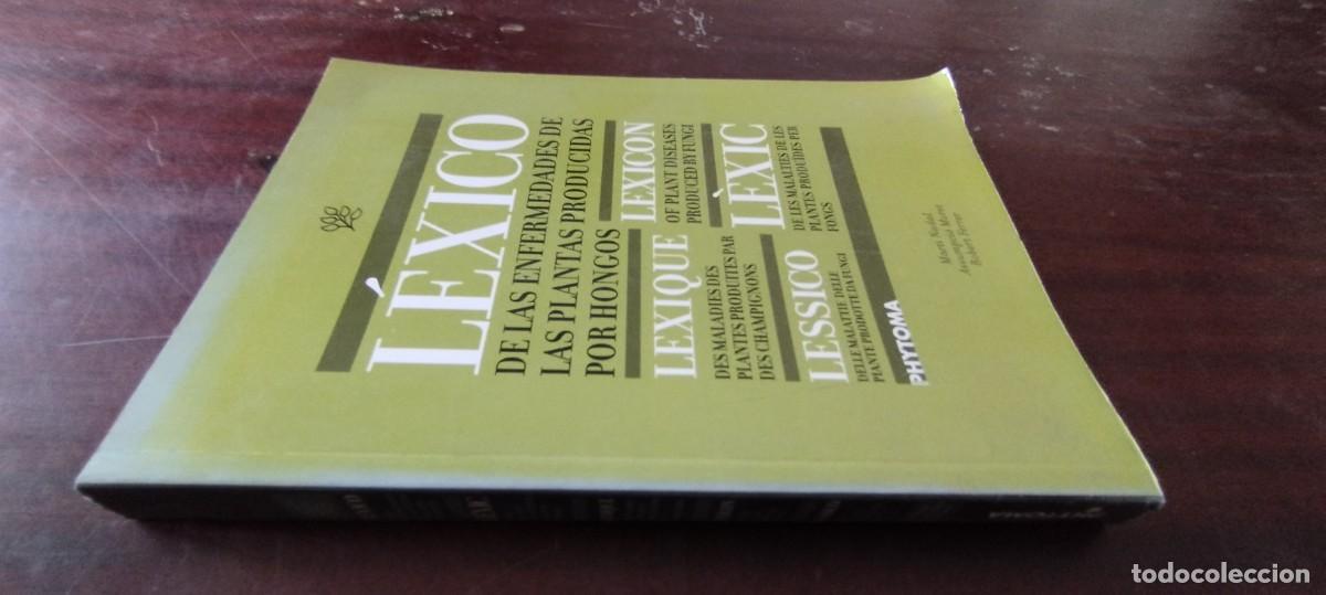 Libros de segunda mano: LEXICO ENFERMEDADES PLANTAS PRODUCINDAS POR HONGOS / NADAL-MORET-FERRER / PU-GUI-20 / AGRARIO