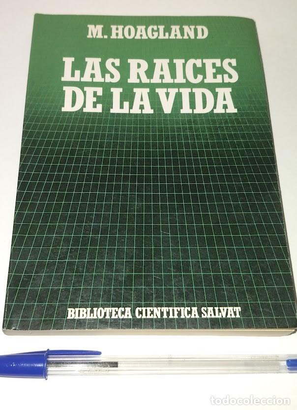 Libros de segunda mano: Las ra&iacute;ces de la vida - M. Hoagland - Biblioteca Cientifica Salvat 1988 - ISBN 8434583682