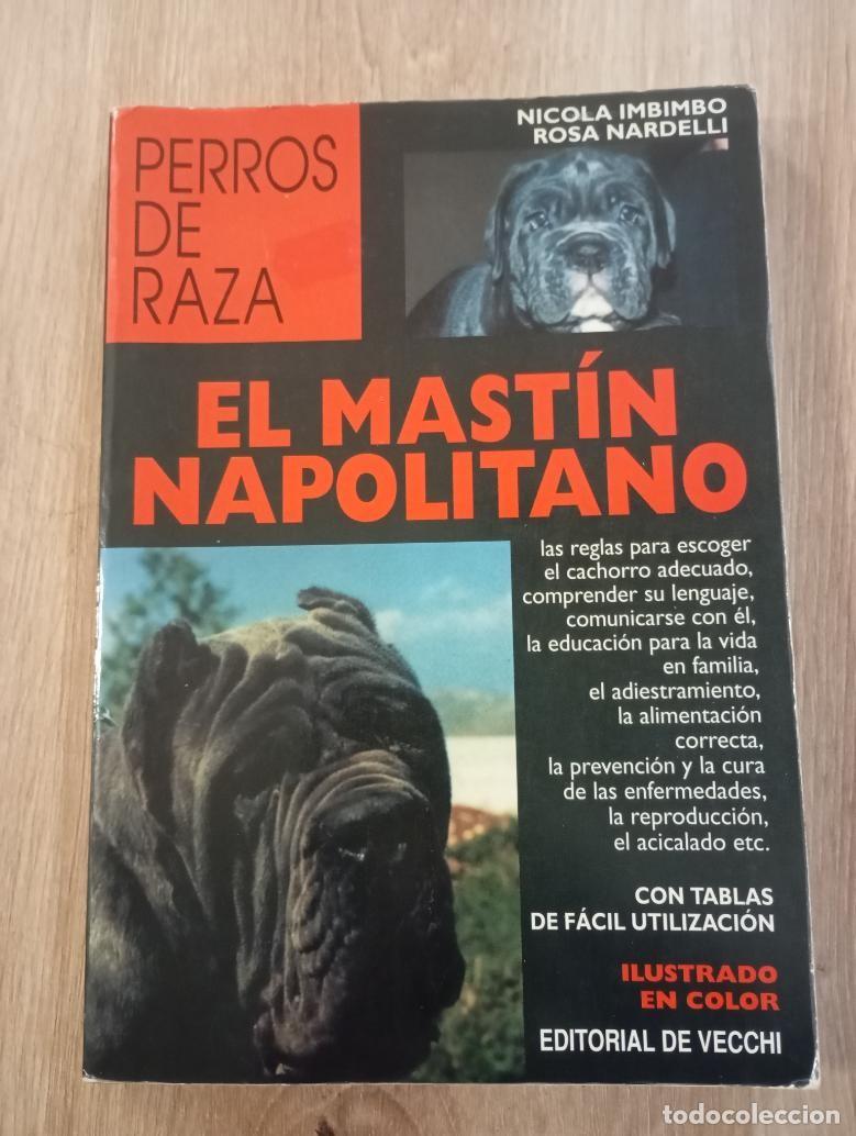 Libros de segunda mano: El Mast&iacute;n Napolitano Nicola Imbimbo, Rosa Nardelli