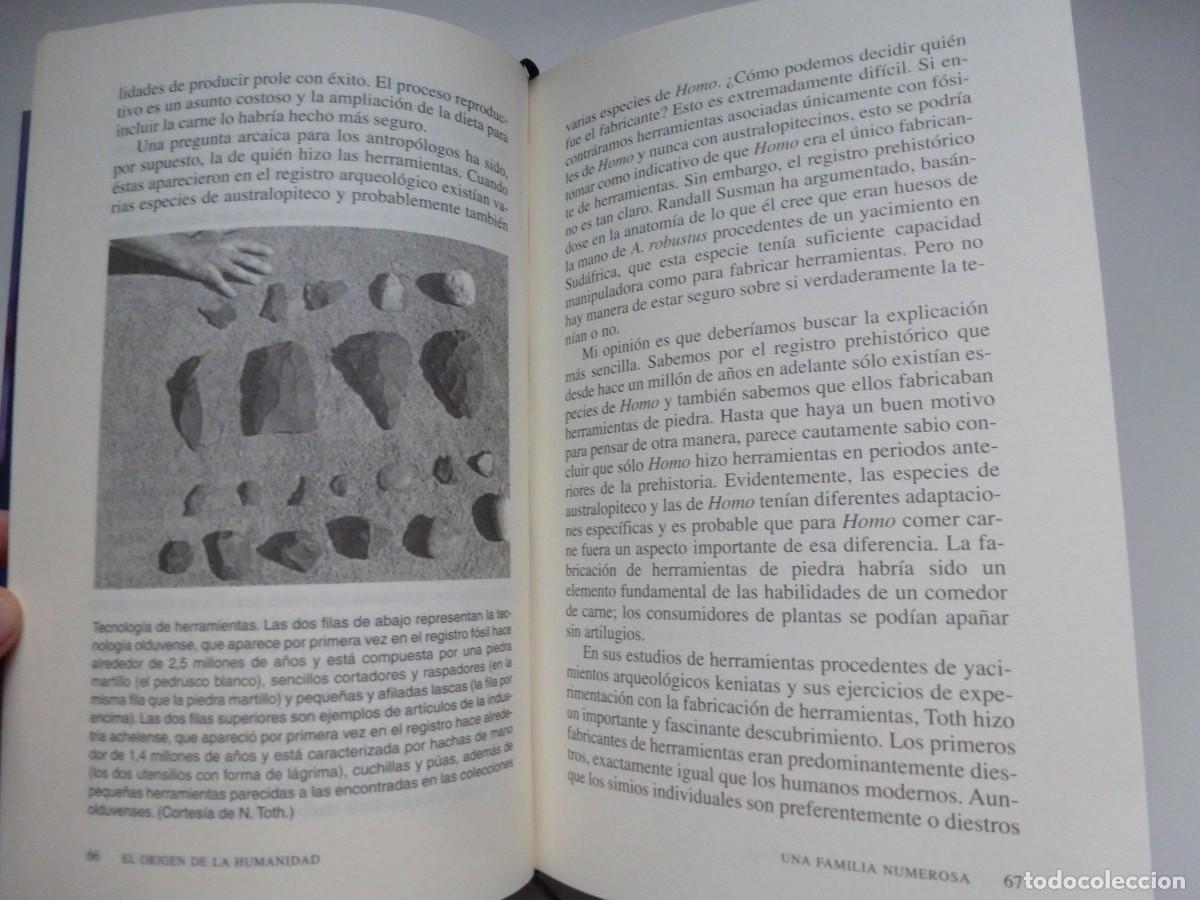 Libros de segunda mano: EL ORIGEN DE LA HUMANIDAD. RICHARD LEAKEY. C&Iacute;RCULO DE LECTORES 2001 - Foto 4