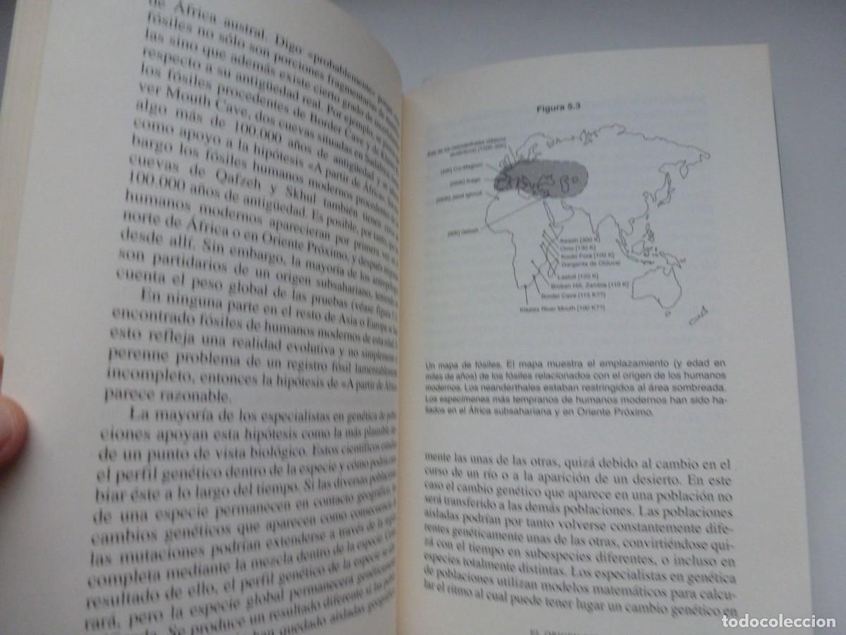 Libros de segunda mano: EL ORIGEN DE LA HUMANIDAD. RICHARD LEAKEY. C&Iacute;RCULO DE LECTORES 2001 - Foto 5