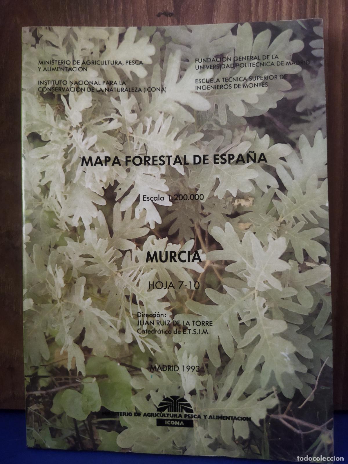Libros de segunda mano: Mapa forestal de Espa&ntilde;a Murcia