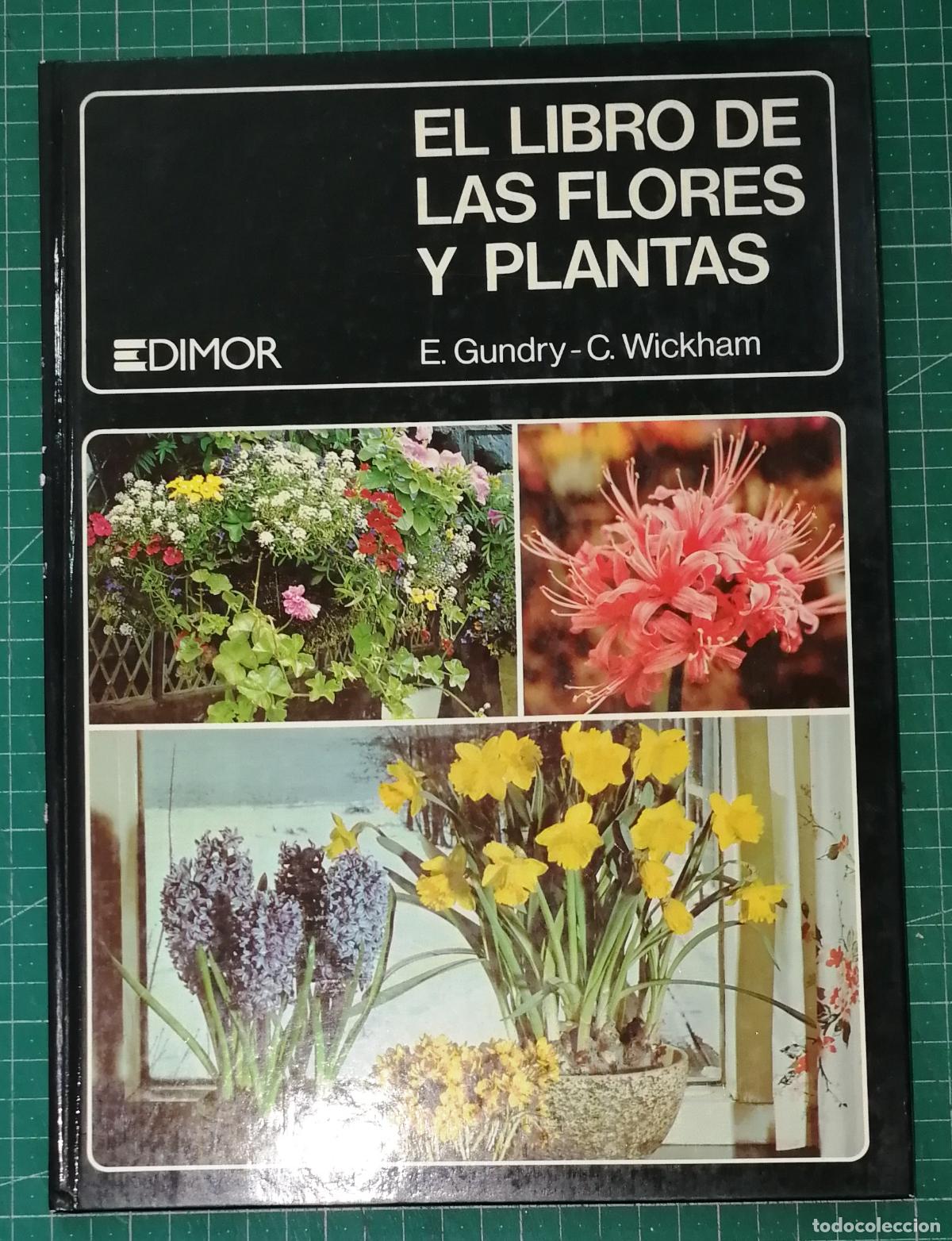 Libros de segunda mano: EL LIBRO DE LAS FLORES Y PLANTAS / Elizabeth Gundry, Cynthia Wickham. - Jaimes Libros, 1979