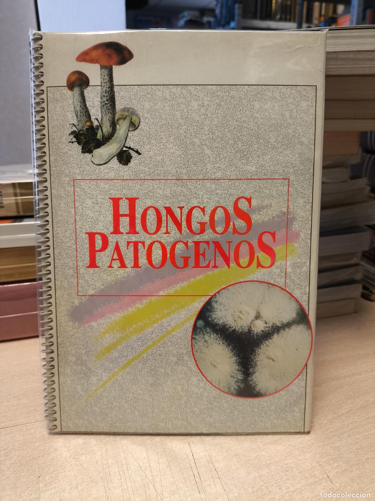 Libros de segunda mano: AURORA GUERRA - HONGOS PAT&Oacute;GENOS - Guerra Tapia, Aurora