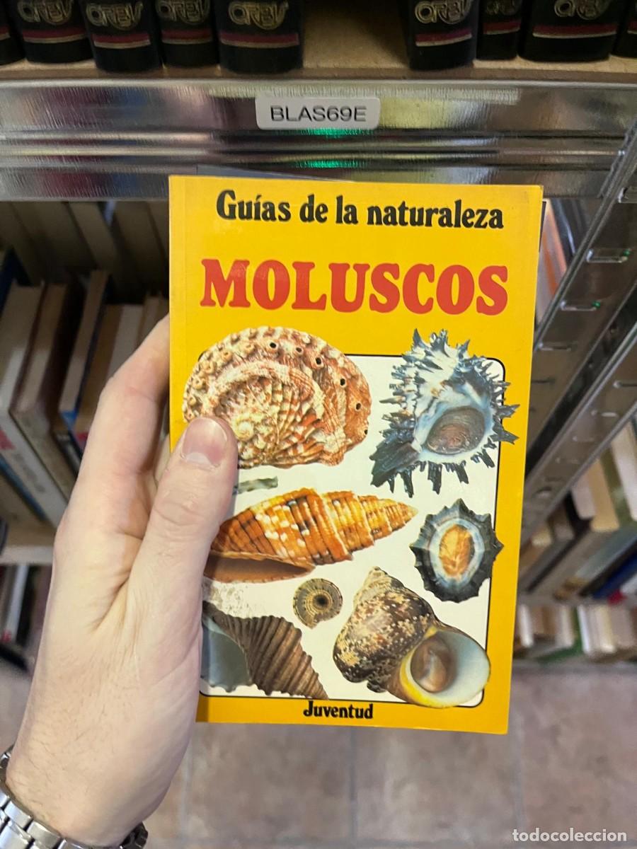 Libros de segunda mano: BLAS69E &mdash; Moluscos &mdash; Gu&iacute;as de la naturaleza &mdash; Juventud &mdash;