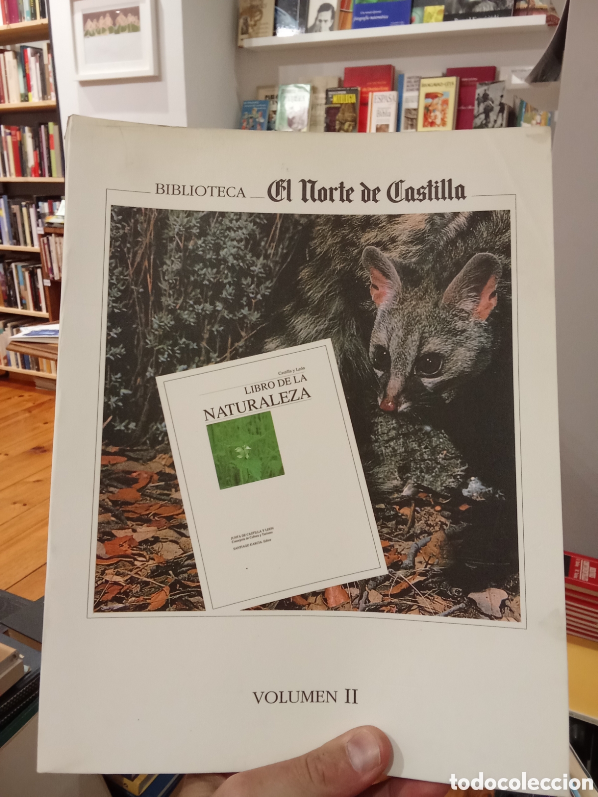Libros de segunda mano: Libro de la naturaleza de Castilla y Le&oacute;n - Volumen II - El Norte de Castilla