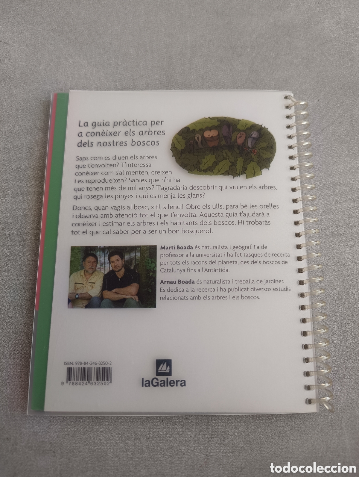 Libros de segunda mano: La meva primera guia darbres. Mart&iacute; Boada. Arnau Boada. Arbres. - Foto 3