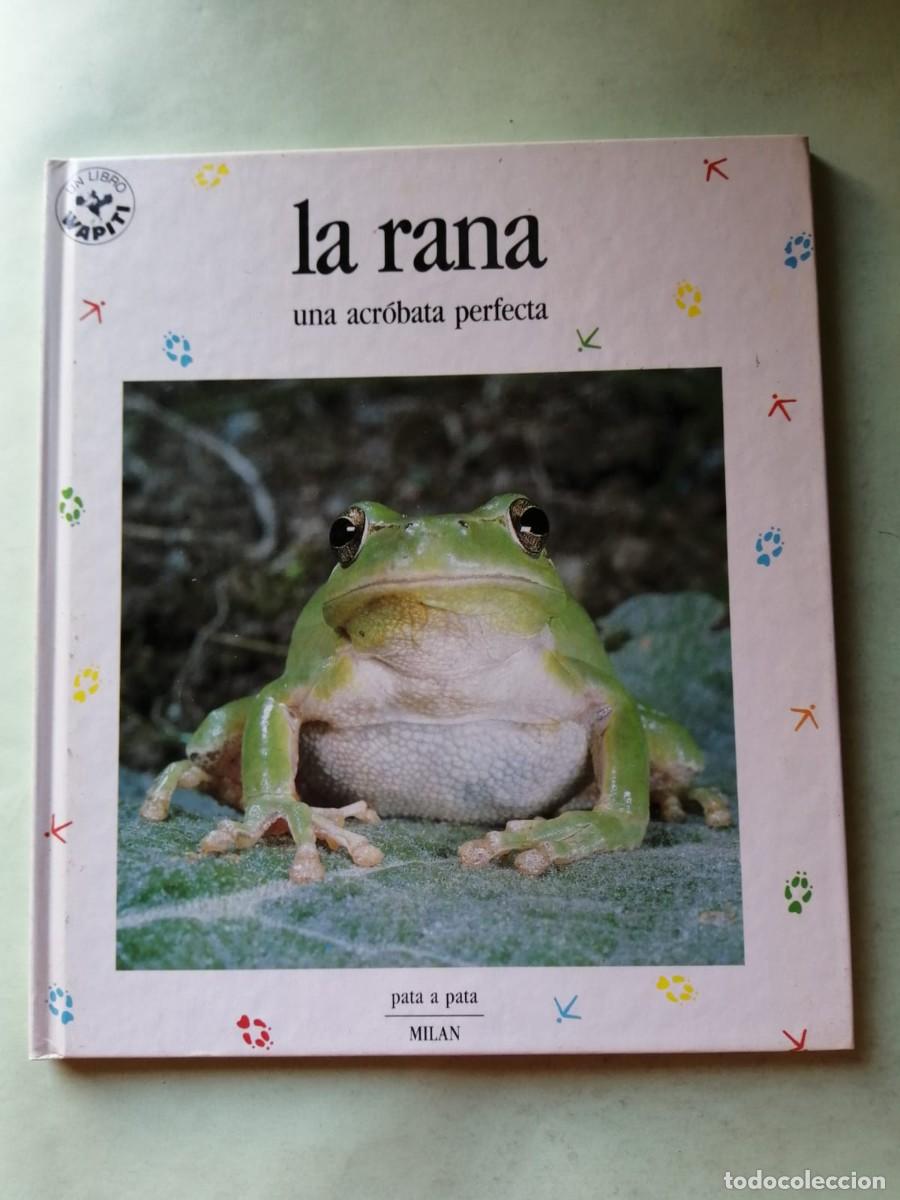 Libros de segunda mano: COLECCION PATA A PATA. LA RANA, UNA ACROBATA PERFECTA