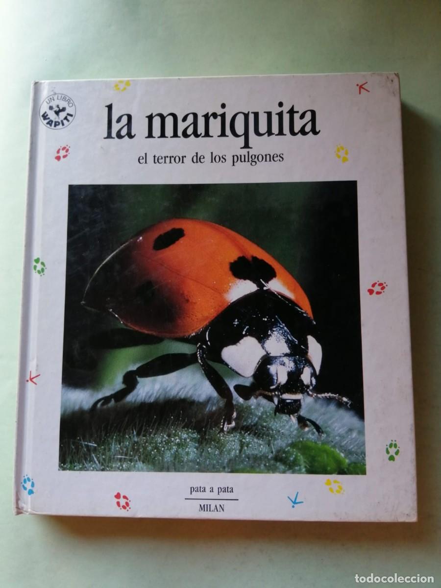 Libros de segunda mano: COLECCION PATA A PATA. LA MARIQUITA, EL TERROR DE LOS PULGONES