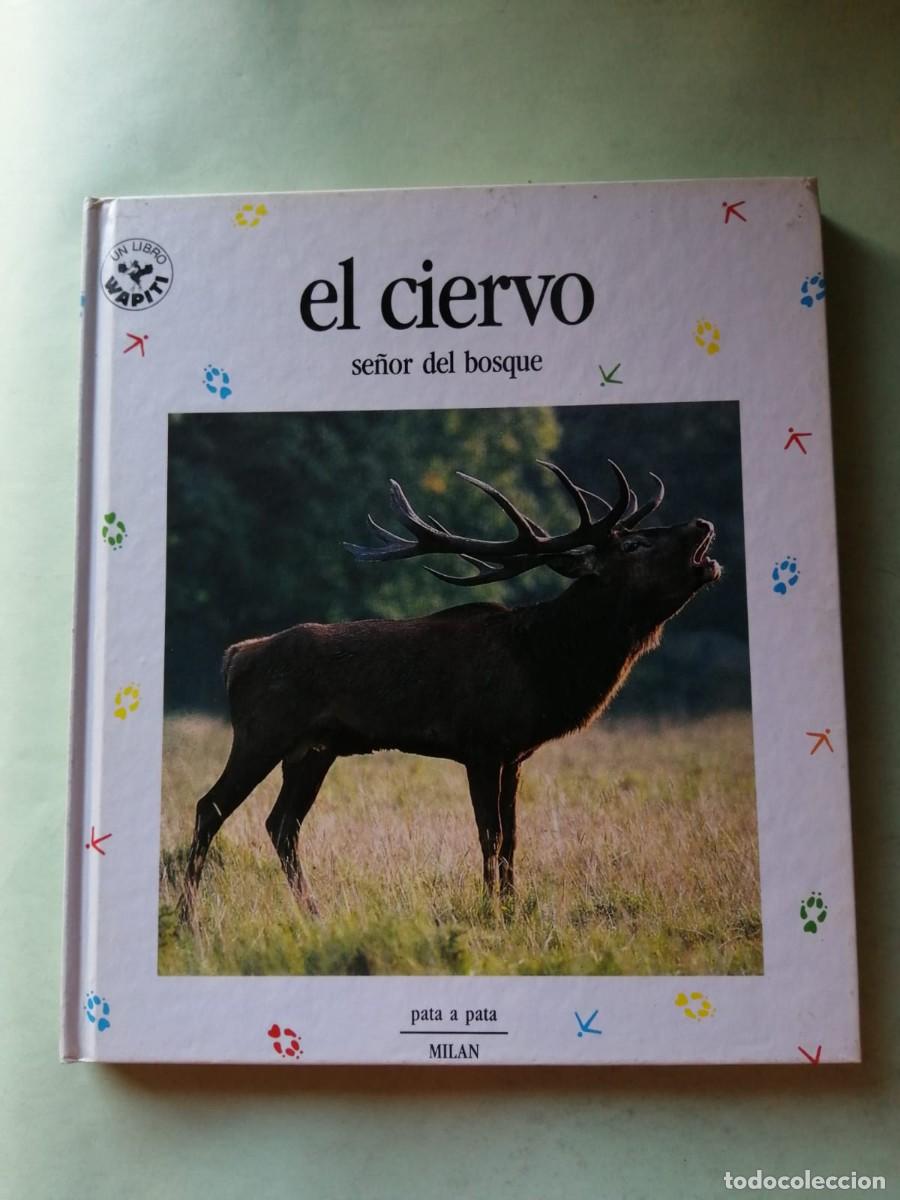 Libros de segunda mano: COLECCION PATA A PATA. EL CIERVO, SE&Ntilde;OR DEL BOSQUE - Foto 1