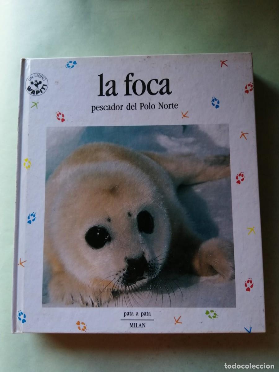 Libros de segunda mano: COLECCION PATA A PATA. LA FOCA, PESCADOR DEL POLO NORTE
