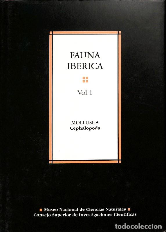 Libros de segunda mano: Fauna ib&eacute;rica. Vol. 1. Mollusca: Cephalopoda - &Aacute;ngel Guerra Sierra - CSIC