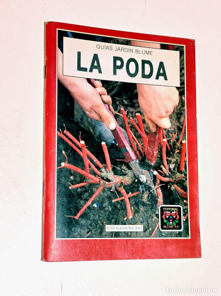 Libros de segunda mano: LA PODA. Gu&iacute;as Jard&iacute;n Blume - BLACKBURNE - MAZE, Peter