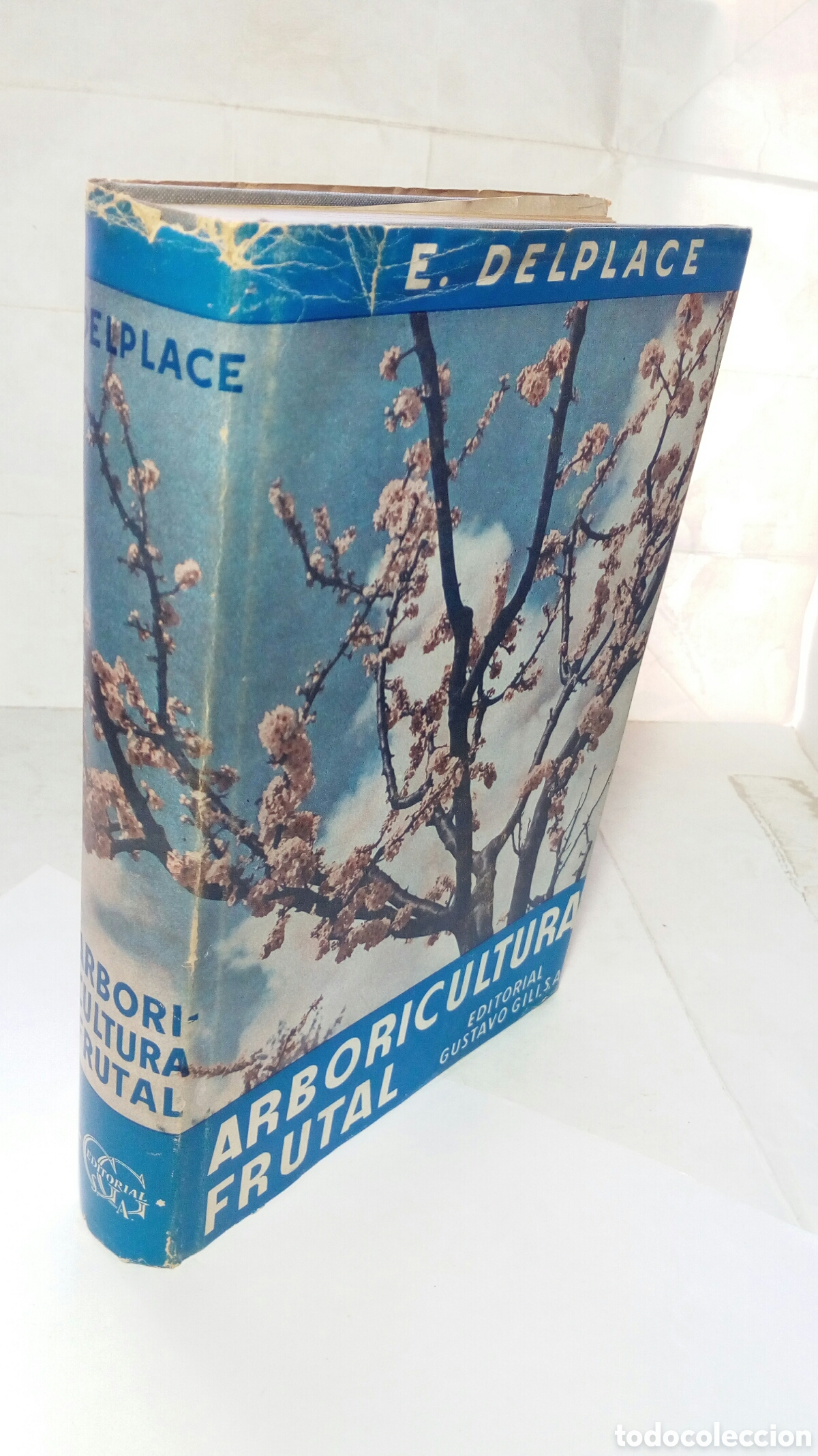 Libros de segunda mano: Arboricultura frutal. E. Delplace. - Foto 12