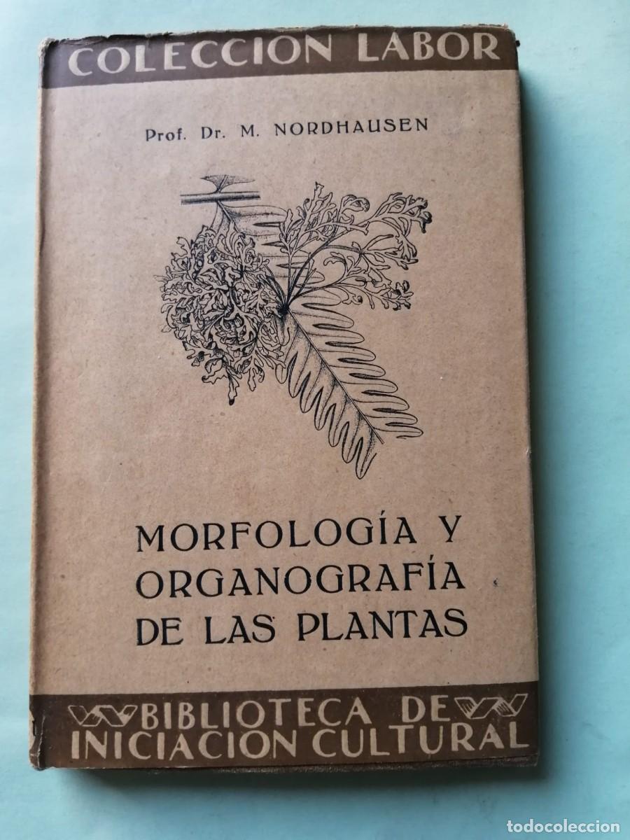 Libri di seconda mano: MORFOLOGIA Y ORGANOGRAFIA DE LAS PLANTAS (PROF. Dr. M. NORDHAUSEN)