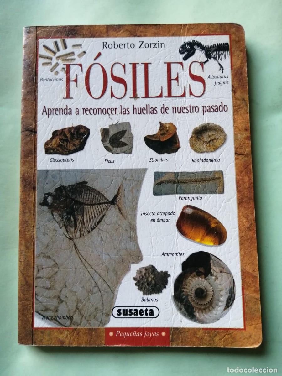 Libros de segunda mano: FOSILES (ROBERTO ZORZIN) SUSAETA - Foto 1