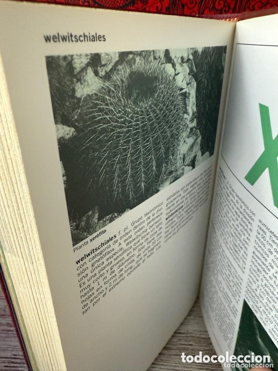 Libros de segunda mano: Lexis 22 - Bot&aacute;nica (C&iacute;rculo de Lectores) - Foto 4