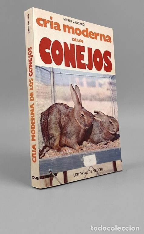 Libros de segunda mano: CRIA MODERNA DE LOS CONEJOS. MARIO VACCARO. - Foto 1