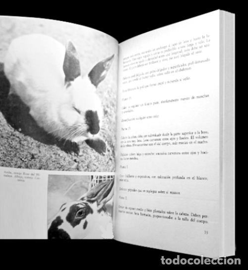 Libros de segunda mano: CRIA MODERNA DE LOS CONEJOS. MARIO VACCARO. - Foto 2