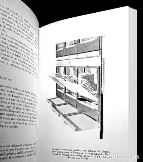 Libros de segunda mano: CRIA MODERNA DE LOS CONEJOS. MARIO VACCARO. - Foto 6