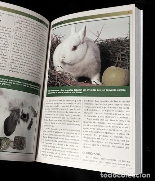 Libros de segunda mano: �F3024 - MANUAL PRACTICO DEL CONEJO ENANO. CRIA. CUIDADOS. RAZAS. - Foto 3