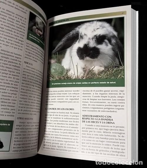 Libros de segunda mano: �F3024 - MANUAL PRACTICO DEL CONEJO ENANO. CRIA. CUIDADOS. RAZAS. - Foto 4